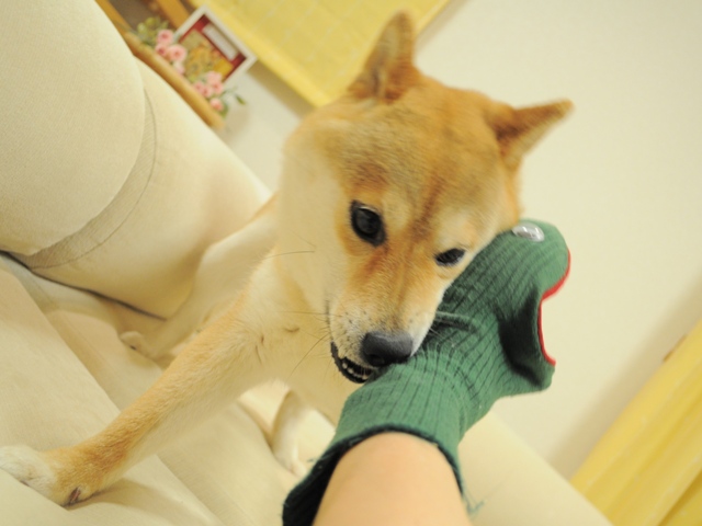 b6900d0b.jpg