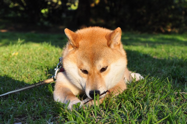 bd92f5c5.jpg