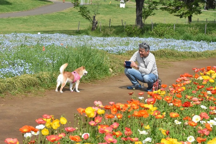 DSC_9021 (2)