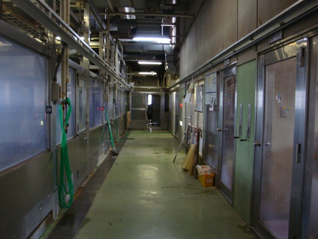 d1cb83c1.jpg
