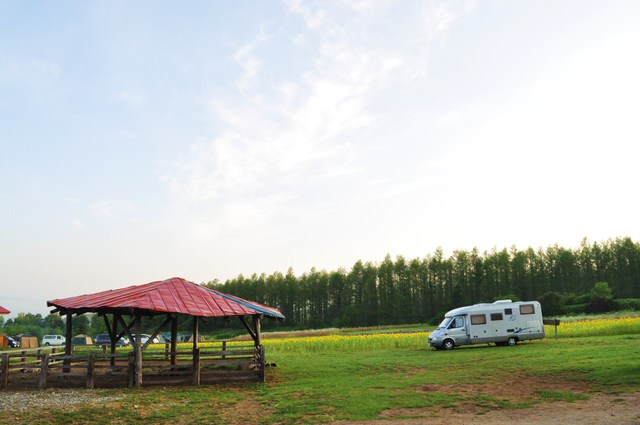 d26279c8.jpg