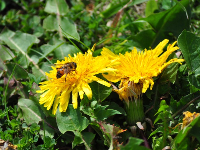 e1e27156.jpg