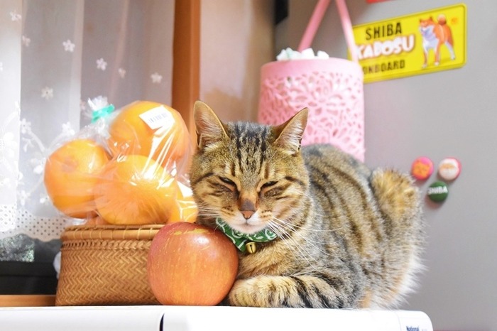 DSC_5583 (2)