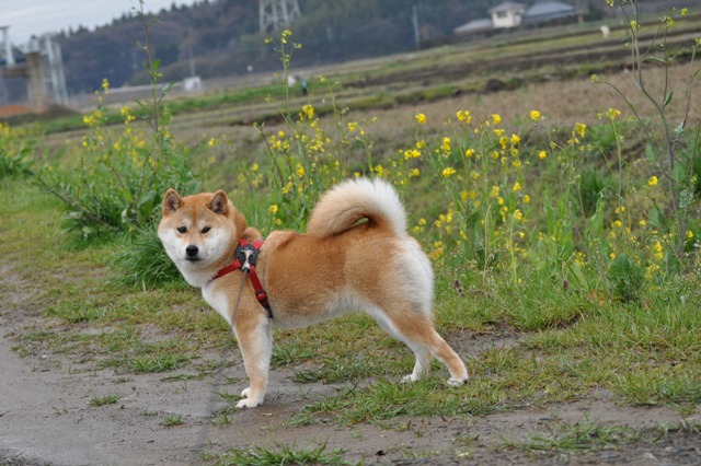 ebfd0b10.jpg
