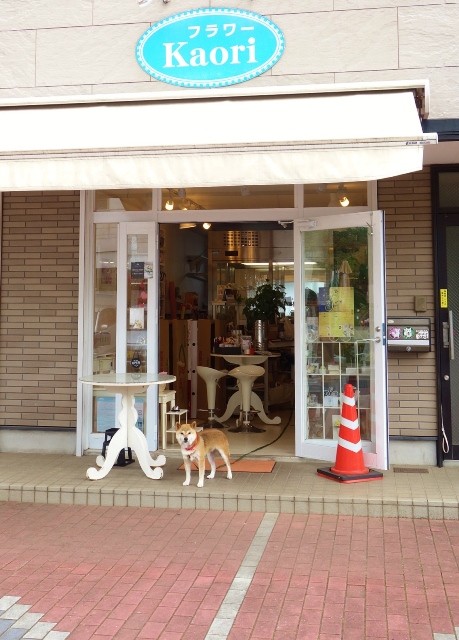 DSC01358 (2)