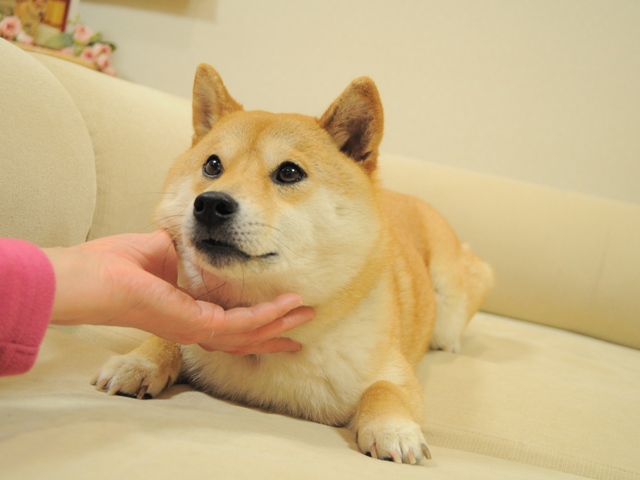 f3bb8df0.jpg