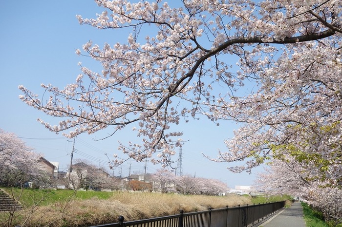 DSC03001 (2)