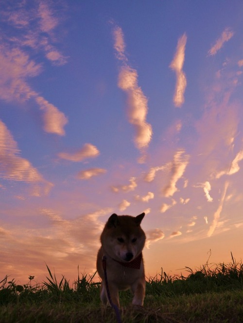 f726df00.jpg