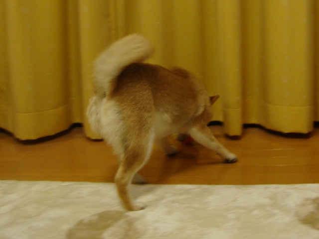 fe40df70.jpg