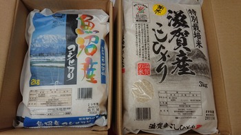 コバンザメの株日記