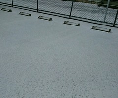 コバンザメの株日記