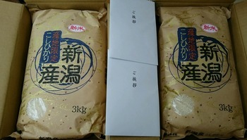 コバンザメの株日記