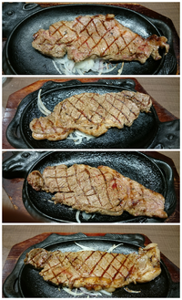 コバンザメの株日記