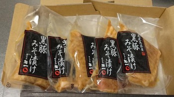コバンザメの株日記