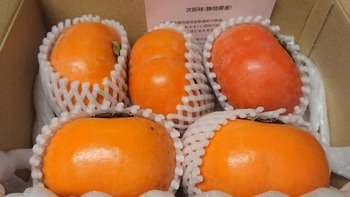コバンザメの株日記