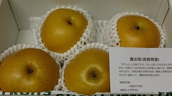 コバンザメの株日記