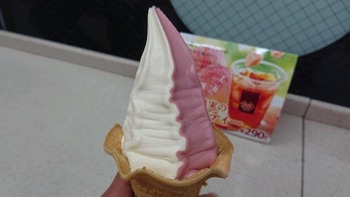 コバンザメの株日記