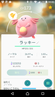 コバンザメの株日記