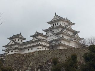IMG_0154