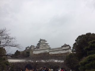 IMG_0149