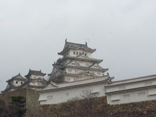 IMG_0150