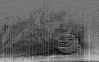 falcon_1962161i
