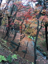04e22f91.jpg