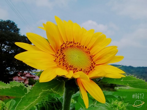 B612_20170722_091615