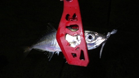 RIMG0732