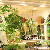 ��Kadan.ne.jp�۴��տ�ʪ������