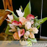 ��kadan.ne.jp�ۥ���󥸥��������㡧No.20360
