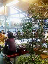 ���꡼�֤��� @standard deli �ʥ���������� �ǥ��