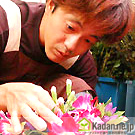��kadan.ne.jp�ۥե������ƥ����ȡ����� ����