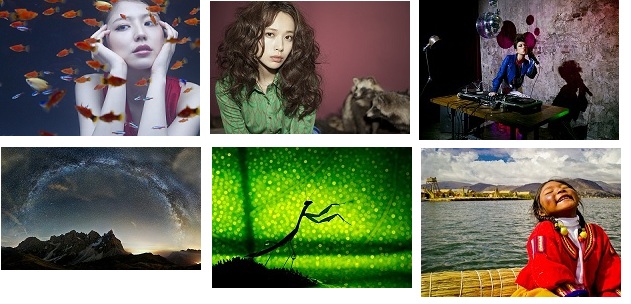 ソニーブラビア写真展