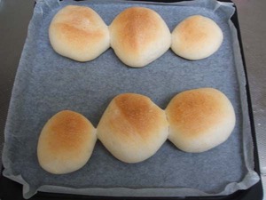 bread