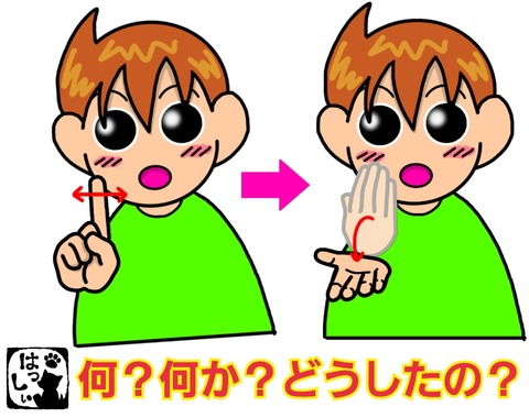 6636円 手話単語：82 【何？】【何か？】【どうしたの