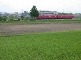 DSCN2445¡¡¥Û¥¿¥ë¤Î¤¤¤¿¿åÅĤÈÅżÖ