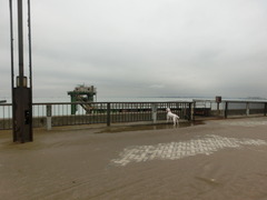 CIMG0049