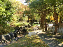 CIMG0771