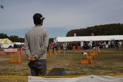 DSC00516