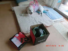 CIMG7683