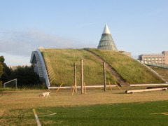 CIMG1224