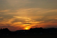 DSC07332