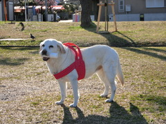 CIMG0281