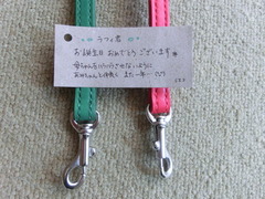 CIMG0009