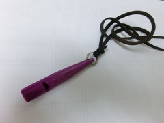 CIMG9881