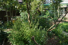 DSC08295