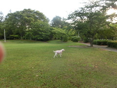 CIMG0752