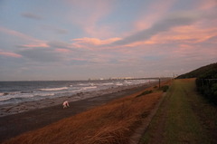 DSC09858