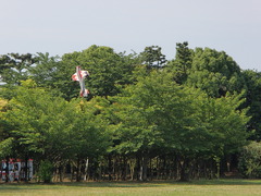 P6080027